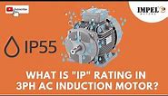 What is IP rating in 3ph AC induction motor?