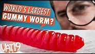 Burning Questions: World's Largest Gummy Worm