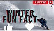 Winter Fun Facts