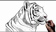 How To Draw A Tiger (Side View) | Step By Step