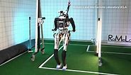 ARTEMIS, a soccer-playing humanoid robot, is ready for the pitch
