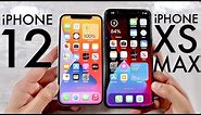 iPhone 12 Vs iPhone XS Max! (Comparison) (Review)