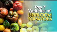 Top 7 Varieties of Heirloom Tomatoes