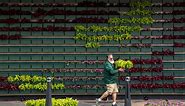 Lush, green ‘living wall’ art installation returns to historic Grand Rapids hotel