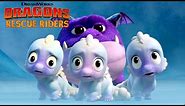 Baby Chillblaster Dragons | DRAGONS RESCUE RIDERS | NETFLIX