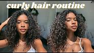 Simple Curly Hair Routine (2C-3A)