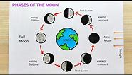 Moon phase drawing step by step | Moon phase diagram drawing | How to draw phases of the moon