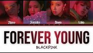 BLACKPINK - Forever Young (Color Coded Lyrics)