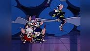 Pinky and the Brain Season 2 Episode 1