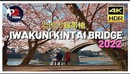 IWAKUNI KINTAI BRIDGE / cherry blossoms 錦帯橋岩国市さくら