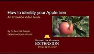 UMN Extension How to Identify Your Apple Tree
