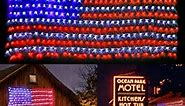 Yinqing 420 LED Flag Net Lights of The United States, Waterproof American Flag Light for Independence Day,Memorial Day, Festival, Garden,Indoor and Outdoor
