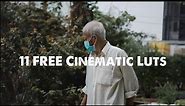 11 FREE Cinematic Luts | Color Grading |