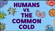 Why is it so hard to cure the common cold?