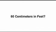 60 cm in feet? How to Convert 60 Centimeters(cm) in Feet?