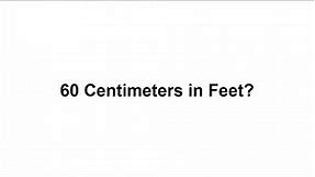 60 cm in feet? How to Convert 60 Centimeters(cm) in Feet?