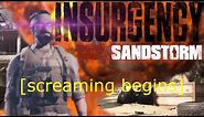 The Insurgency: Sandstorm Experience