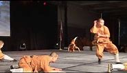 Shaolin Warriors Animal Forms