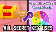 PET SIMULATOR 99 - ALL SECRET KEY DOOR LOCATIONS/AREAS (How to Use Secret Keys)