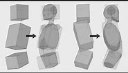 An EASY Method For Drawing The TORSO...