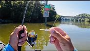 4 Hours of RAW and UNCUT Ultralight Fishing with Gulp Minnows | Emory River