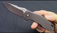 Kershaw Eris Assisted Opening Flipper Knife "Walk-Around" - Knives Plus