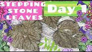 DIY: Making Stepping Stones with Rhubarb Garden Leaves (DAY ONE) | Carrie Milburn