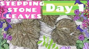 DIY: Making Stepping Stones with Rhubarb Garden Leaves (DAY ONE) | Carrie Milburn