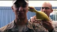 USAF Honor Guard - Rubber Chicken Bearing Test