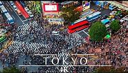 Japan Tokyo 🇯🇵 4K - Shibuya Crossing Time Lapse