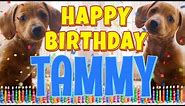 Happy Birthday Tammy! ( Funny Talking Dogs ) What Is Free On My Birthday