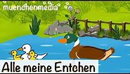 Alle meine Entchen - Kinderlieder deutsch - mit Text zum Mitsingen - muenchenmedia