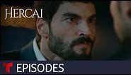 Hercai: Amor y venganza, New Season | Episode 39 | Telemundo English