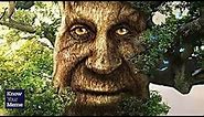 How This Creepy Tree Man Became a Meme | Aztrosist Meme Review