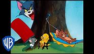 Tom y Jerry en Latino | Dibujos animados clásicos 102 | WB Kids