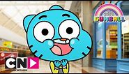 The Amazing World of Gumball | Getting A New Darwin | Cartoon Network