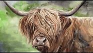 Watercolor Highland Cow Painting Tutorial