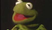 Sesame Street Kermit Sings Being Green