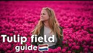 A guide for seeing the TULIP FIELDS in The Netherlands 🌷💐