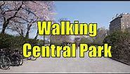 ⁴ᴷ Walking Tour of Central Park, NYC during Spring from 59th - 110th Streets