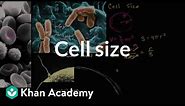 Cell size | Structure of a cell | Biology | Khan Academy