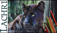 Black leopard colored pencil tutorial - speed drawing w/ Lachri