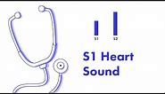 S1 Heart Sound - Learn How to Auscultate (Part 8)