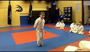 A Typical Children's Karate Class (ages 4-7) at Arashi Do Martial Arts