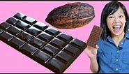 Cocoa POD to CHOCOLATE Bar -- How to Make A DIY Bean-to-Chocolate Bar at Home