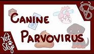 Canine Parvovirus - causes, pathophysiology, clinical signs, diagnosis, treatment, prevention