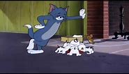 Tom and Jerry - Episode 80 - Puppy Tale - Part 3 (1954) Cartoon HD