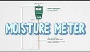 How To Use a Moisture Meter for watering indoor plants