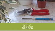 How to sharpen secateurs with a diamond stick