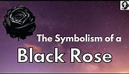 Symbolism of a Black Rose - Black Rose Meaning